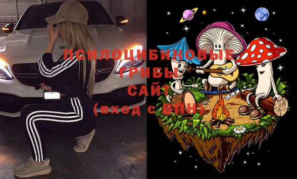 первитин Ельня