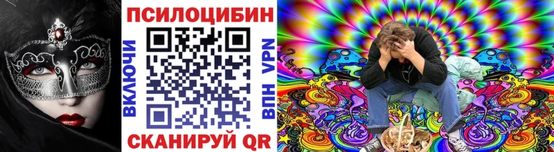 Купить где  Любим  Псилоцибиновые грибы Psilocybe 